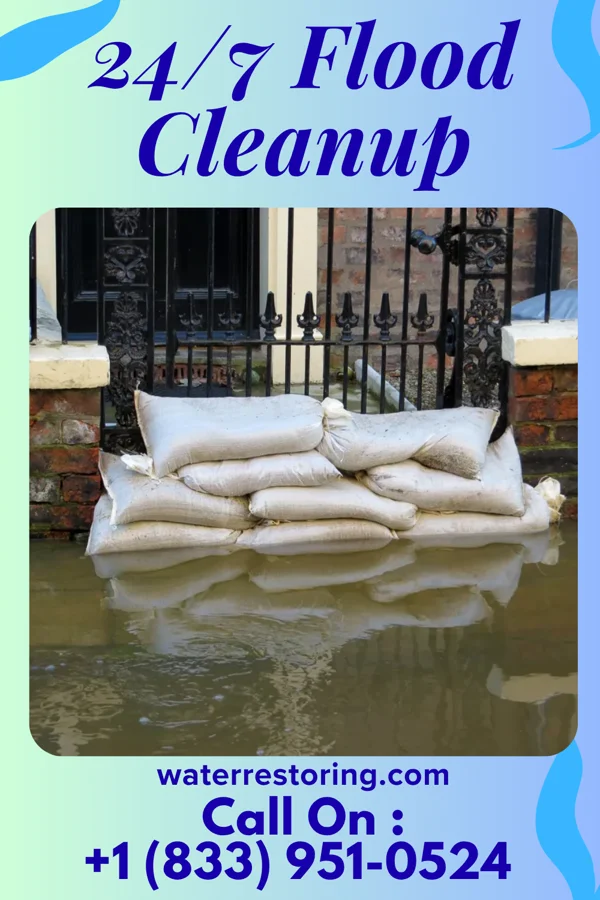 24/7 Flood Cleanup in Smyrna, SC