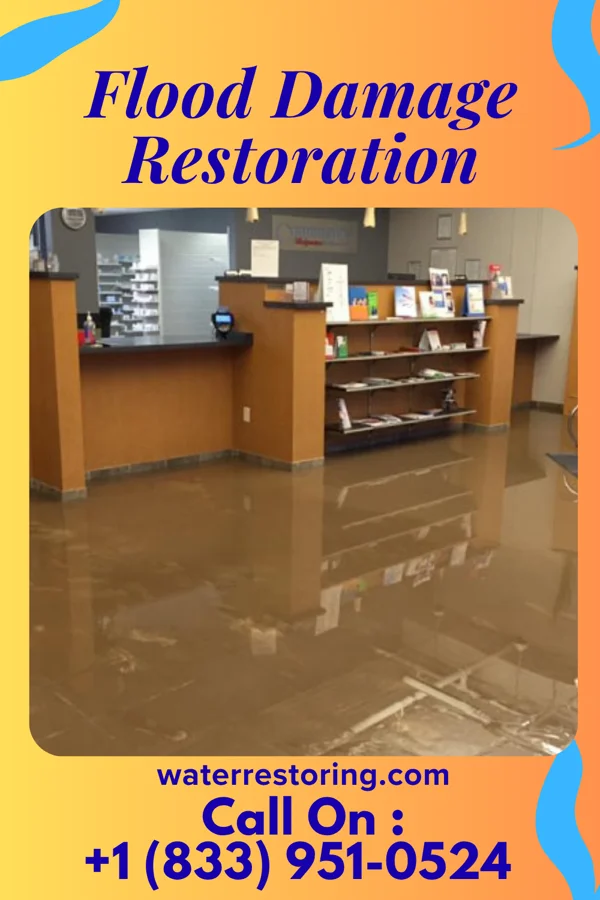 Flood Damage Restoration in Smyrna, SC