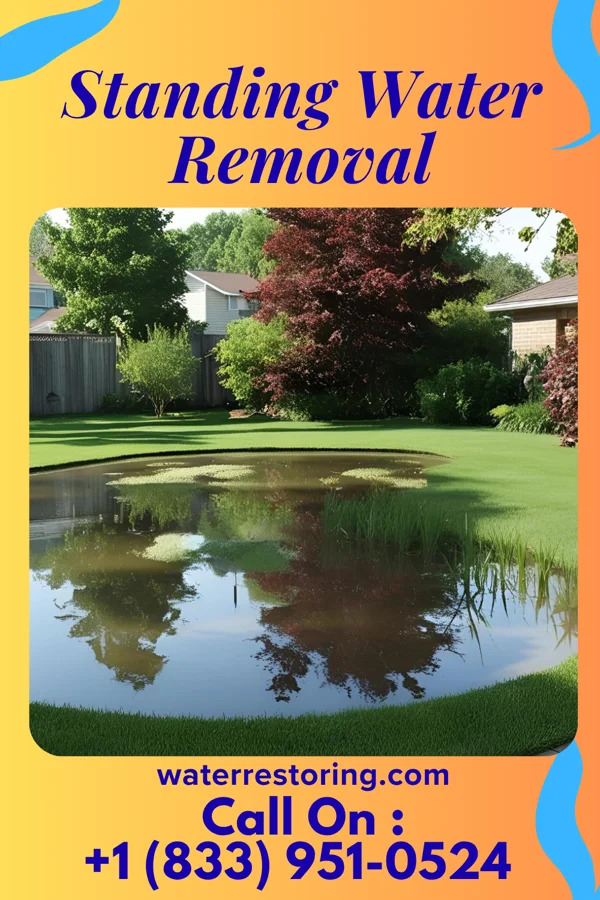 Standing Water Removal in Smyrna, SC